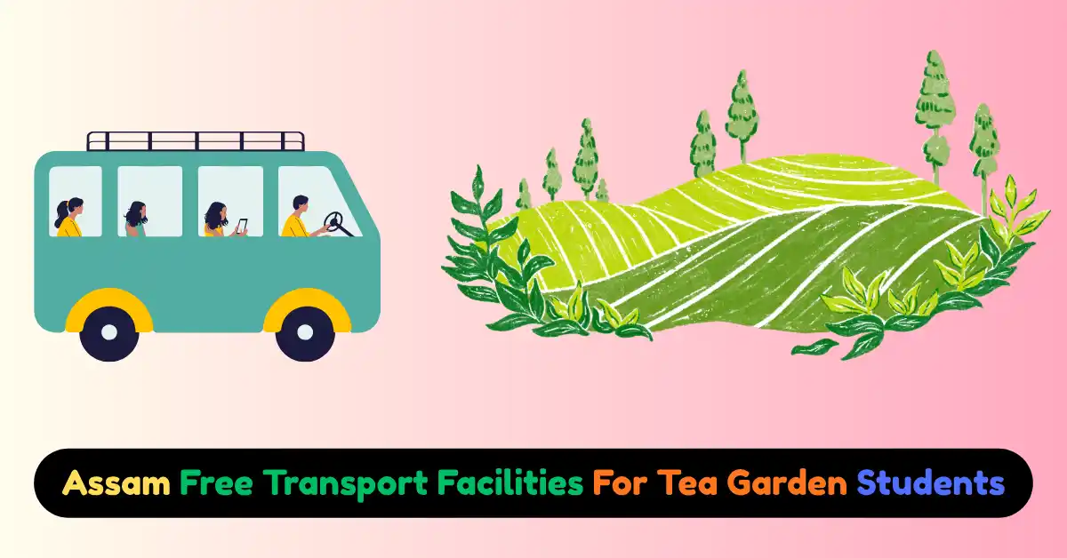 Assam Free Transport Facilities For Tea Garden Students